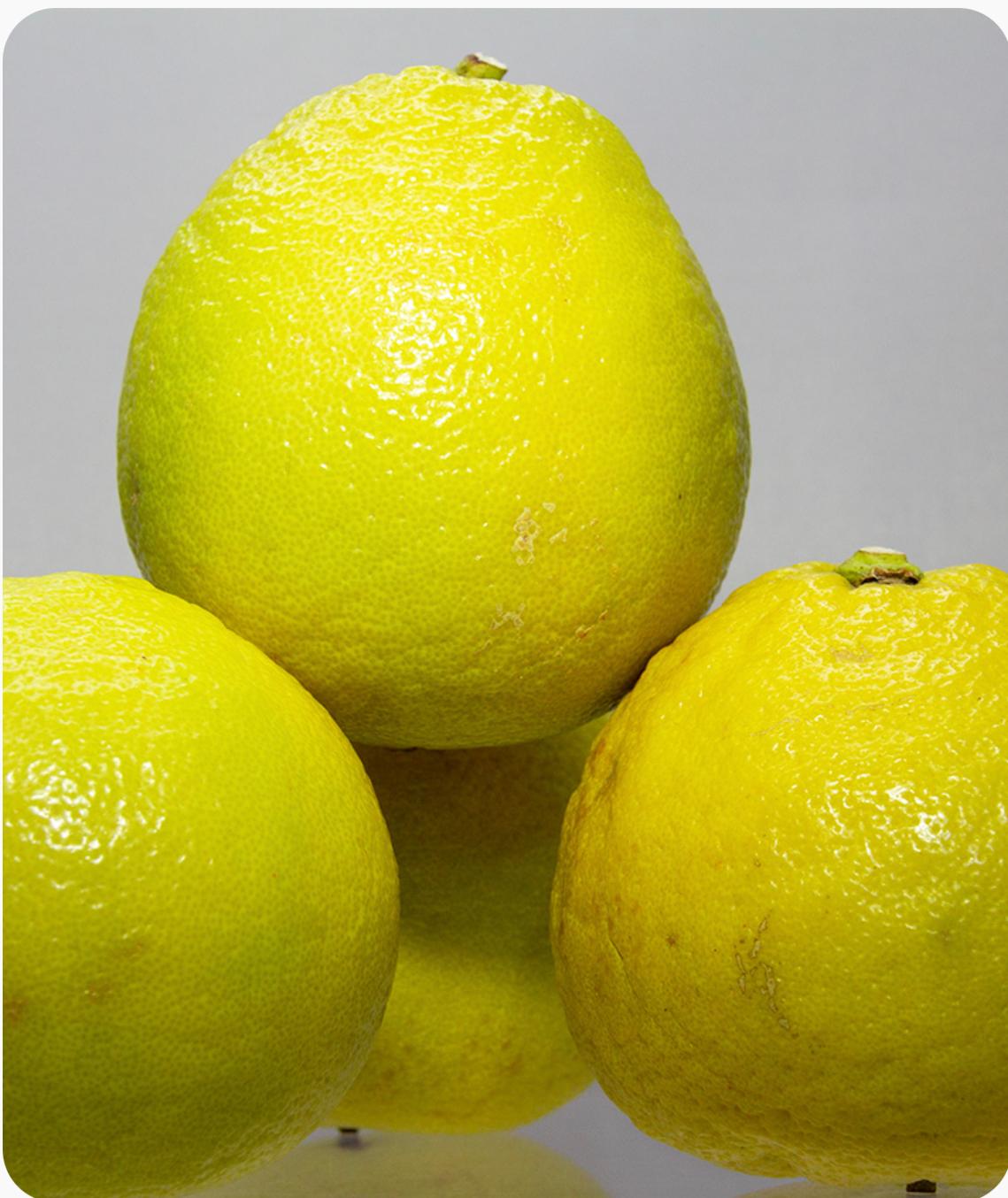 100% Pure Bergamot Juice – Cold Pressed Citrus from Calabria, Italy 16.9